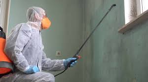 Mold Remediation for Rental Properties in Lake Hamilton, FL